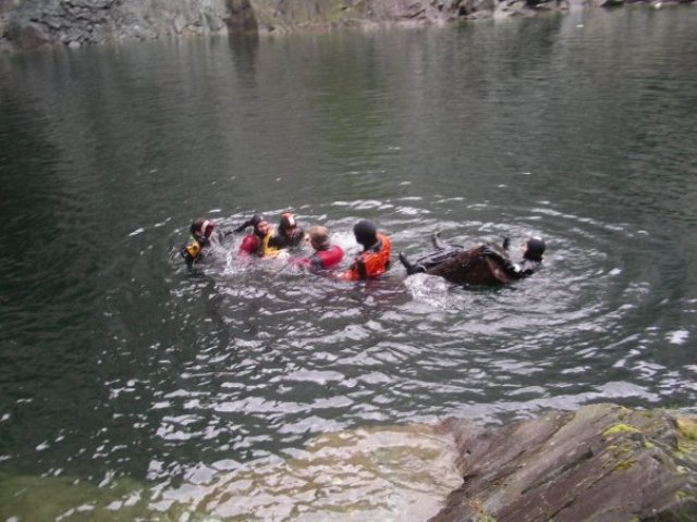 Log floating again.jpg